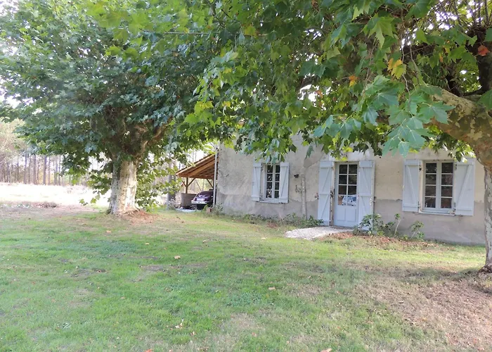 Entre Chevreuil Et Cerf