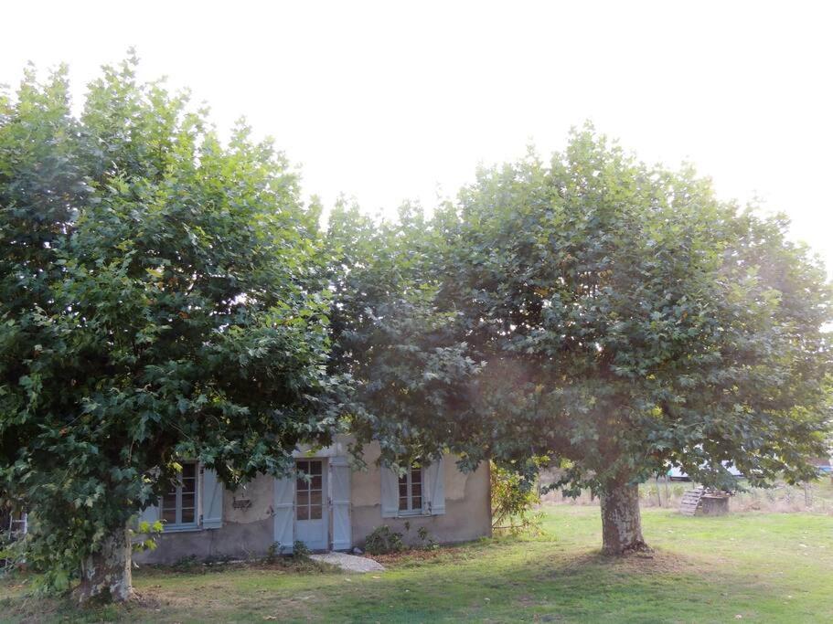 Villa Entre Chevreuil Et Cerf